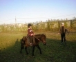 Ponei